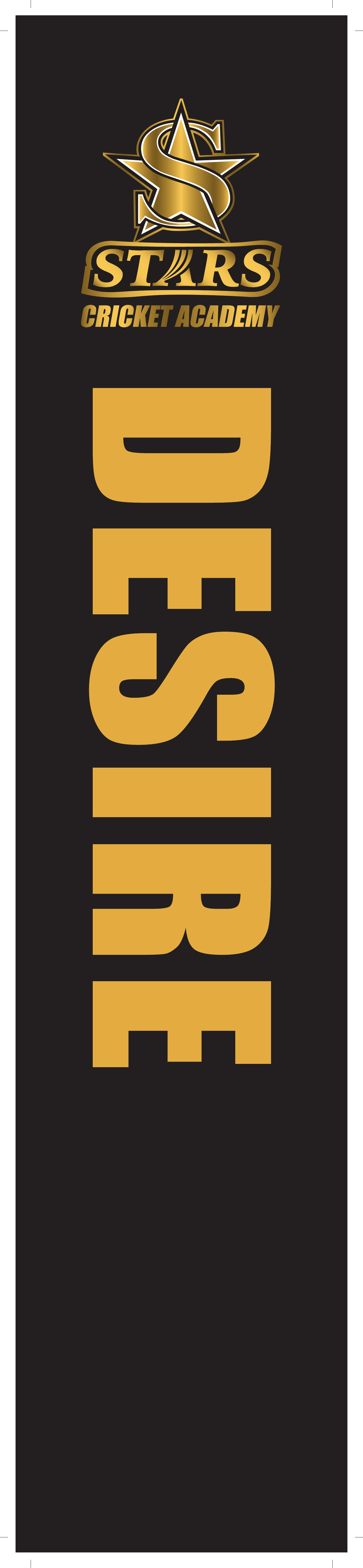 Desire — Stars Cricket Academy Core Belief