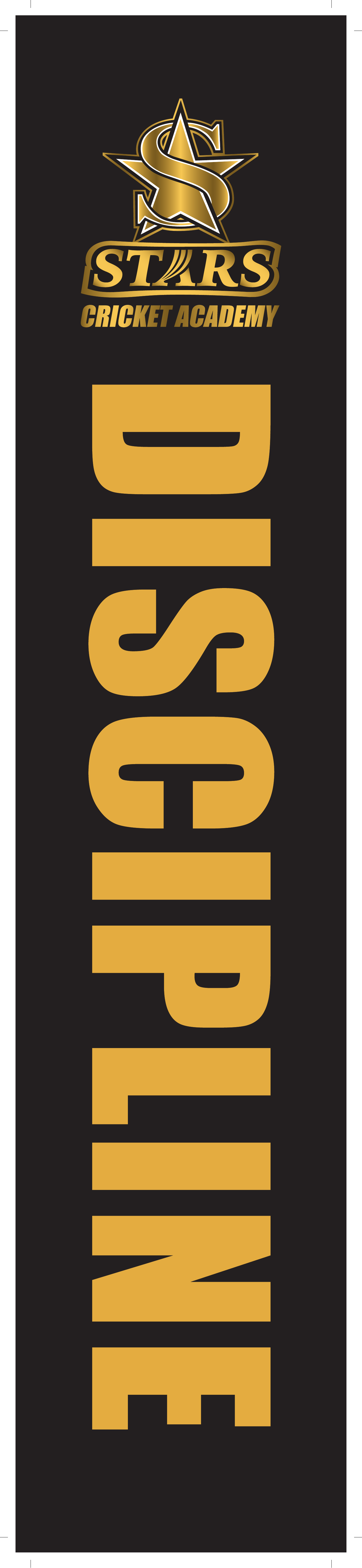 Discipline — Stars Cricket Academy Core Belief